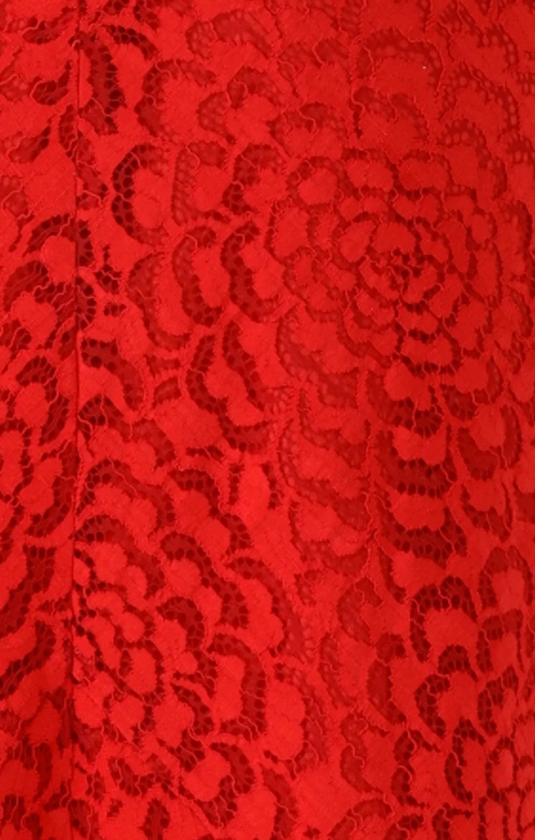 Sacha Drake MOULIN ROUGE Dress in Red Lace