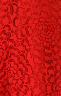 Sacha Drake MOULIN ROUGE Dress in Red Lace